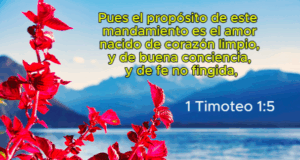 1 Timoteo 1:5. No hay nada más alentador que entender por revelación del Espíritu Santo Aquel que entrega su vida a Cristo, sigue sus enseñanzas y permanece en Él, nunca fracasa.