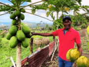 La Guaita: Tradición y Vida Campesina en el Corazón de Puerto Plata La vida en La Guaita se organiza en torno a la familia, la fe y la tierra. Aquí todavía se celebra la vela de los santos, las novenas por los difuntos, y las fiestas patronales con música típica, comida criolla y bailes