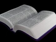 El Que Habita al amparo del Altísimo, morará bajo la sombre del Todopoderoso El que habita al amparo del Altísimo Morará a la sombra del Omnipotente.